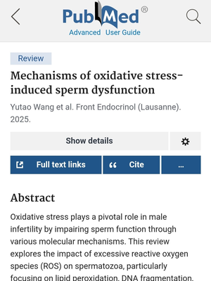 мужское бесплодие